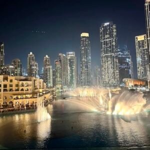 Water Wonders Aquarium L.L.C