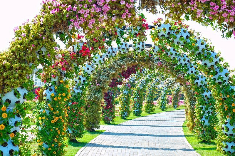 Miracle Garden - الصورة 2