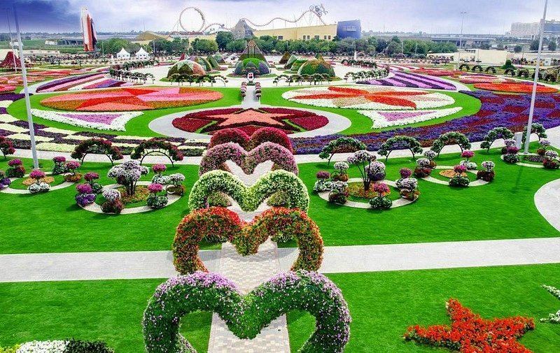 Miracle Garden - الصورة 6