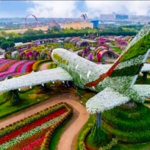 Flower Plane - Miracle Garden