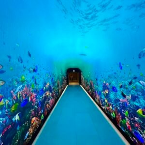 The View Palm Jumeirah